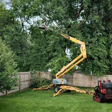 Best Lawn Drainage Solutions  in Beaver, UT