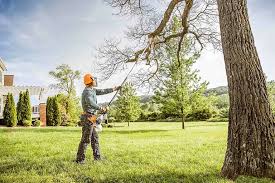 Best Grass Overseeding  in Beaver, UT